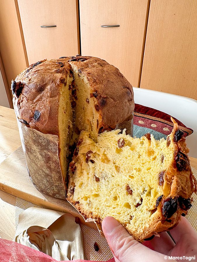 Un panettone con uvetta comprato alla panetteria DonQ a Tokyo, poggiato su un tagliere in un ambiente domestico.