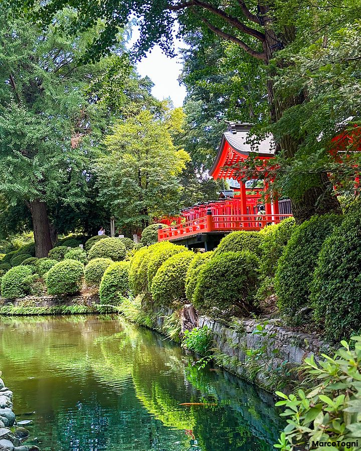 Il giardino del santuario Nezu a Tokyo con cespugli curati e un torrente.