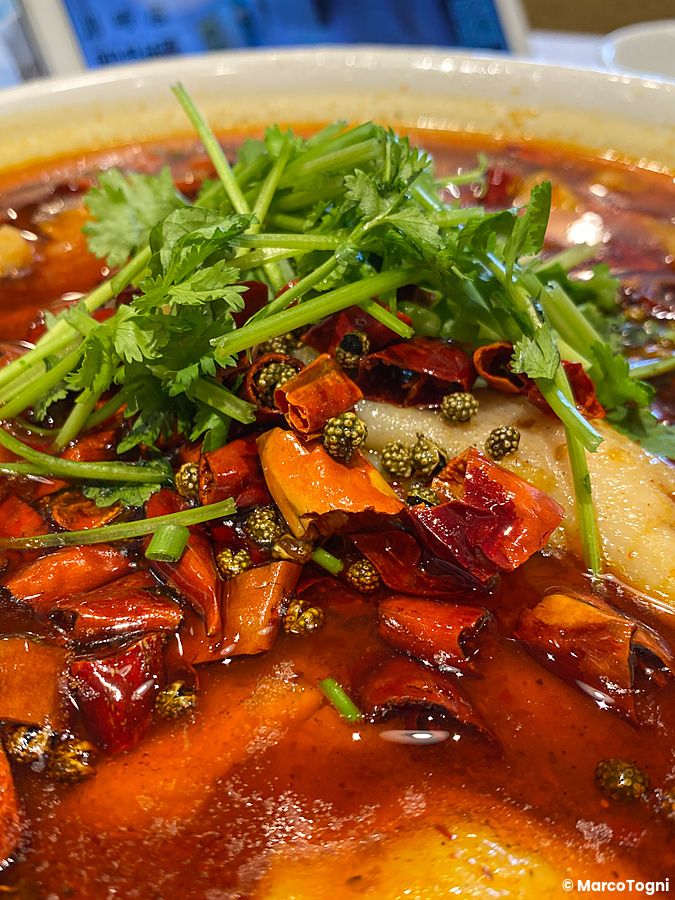 Una zuppa super piccante con peperoncini, grani di pepe e coriandolo servita presso il ristorante Mara Daigaku a Ueno.