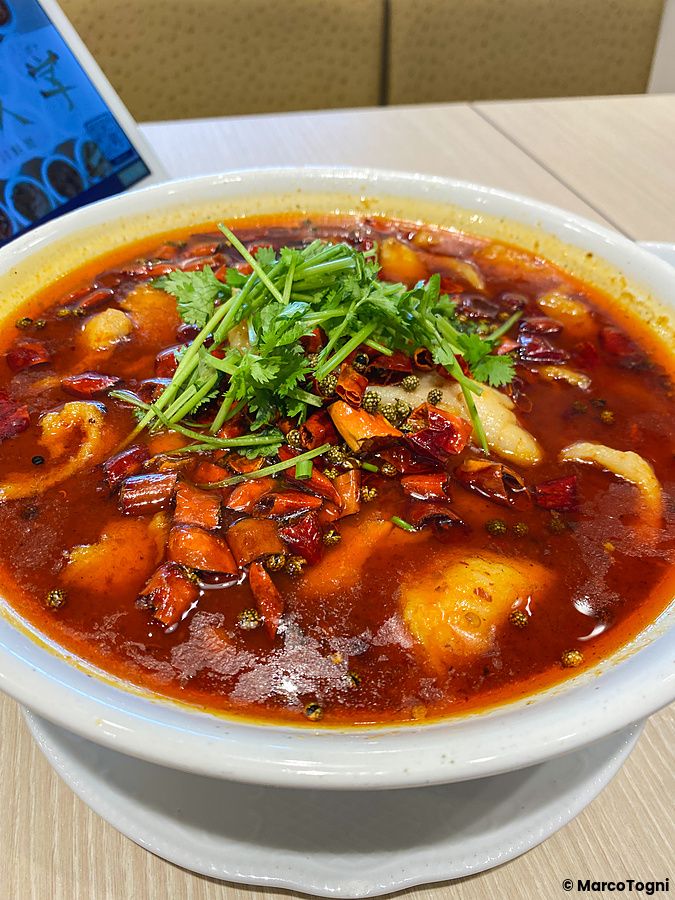 Una ciotola di zuppa super piccante guarnita con coriandolo servita nel ristorante Mara Daigaku a Ueno.
