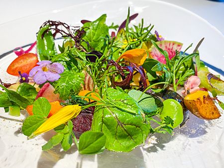 Un'insalata fatta con circa 60 verdure diverse servita in un piatto piano al ristorante L'Effervescense a Tokyo.