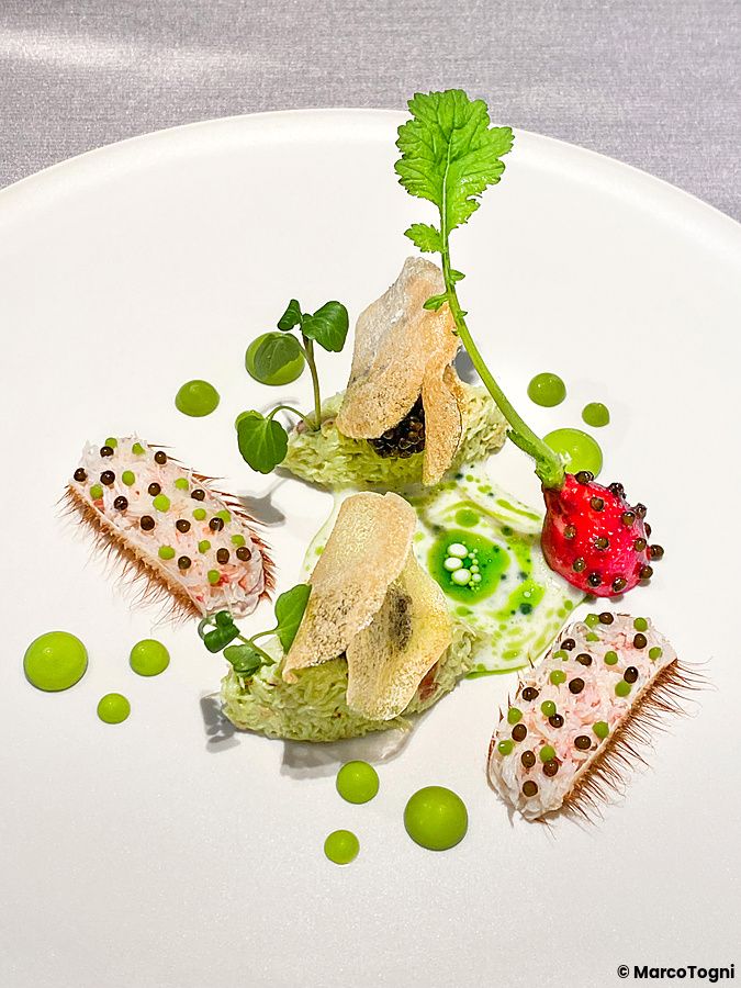Un piatto di granchio, caviale e chips croccanti servito presso il ristorante Asahina Gastronome a Tokyo.