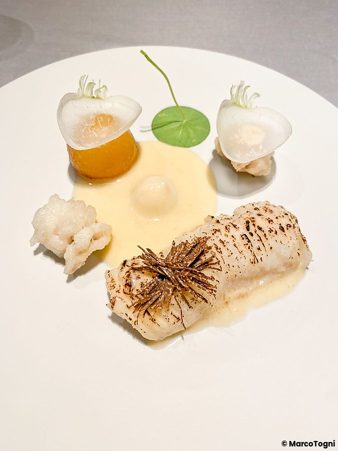 Il pregiato pesce hamo con tartufo nero, rapa e salsa al vermut servito presso Asahina Gastronome a Tokyo.