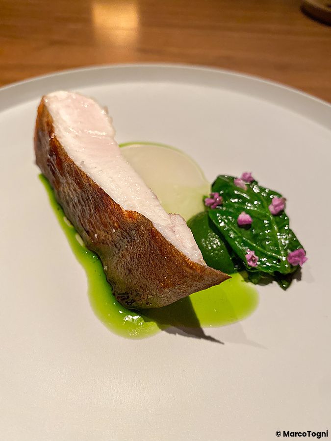 Pesce managatsuo e spinaci presentati in un piatto al Ristorante Crony, Tokyo.