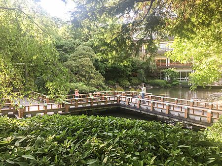 Un ponte di legno attraversa uno stagno nel giardino del Santuario Togo a Tokyo, con una persona e bambini sul cammino.