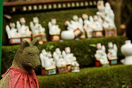 Statua di volpe al santuario Sasuke Inari a Kamakura, con statuette sullo sfondo.
