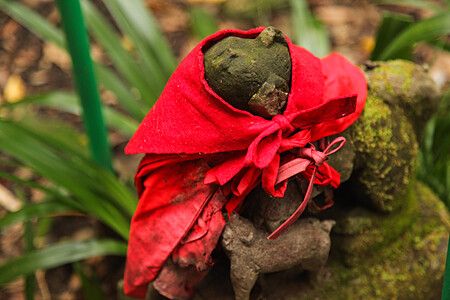 Statua di un animale con mantello rosso al Santuario Sasuke Inari.