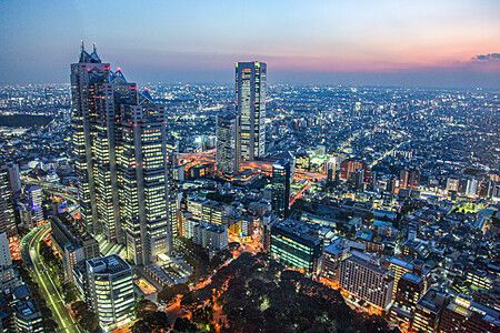 Vista serale di Tokyo da un punto panoramico alto.