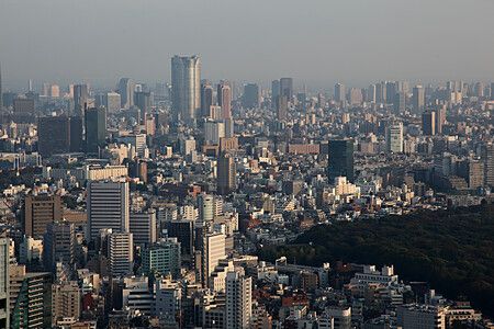 Vista panoramica di Tokyo dal Tokyo Metropolitan Government Office con grattacieli e area verde.