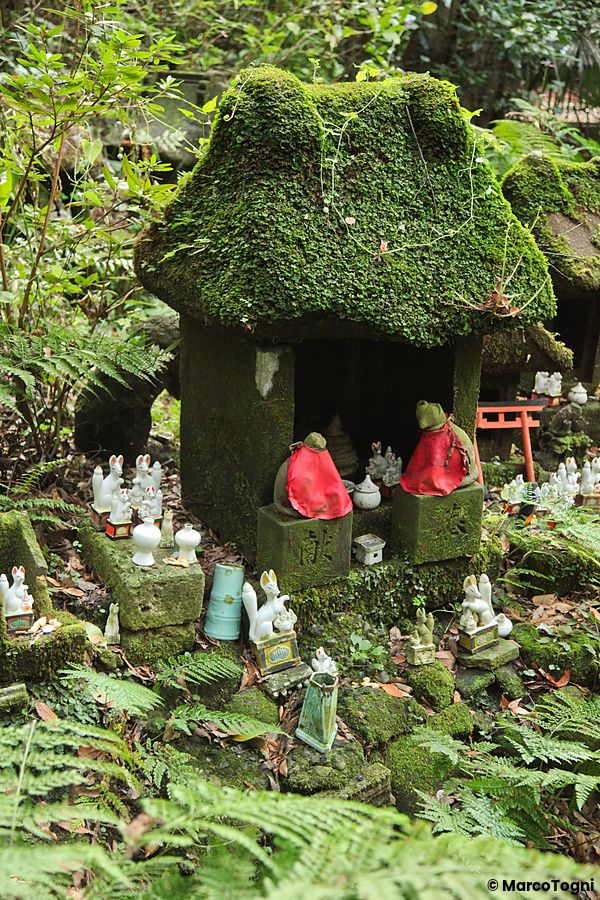 Santuario avvolto dal muschio con statuette di volpi nel Sasuke Inari a Kamakura.