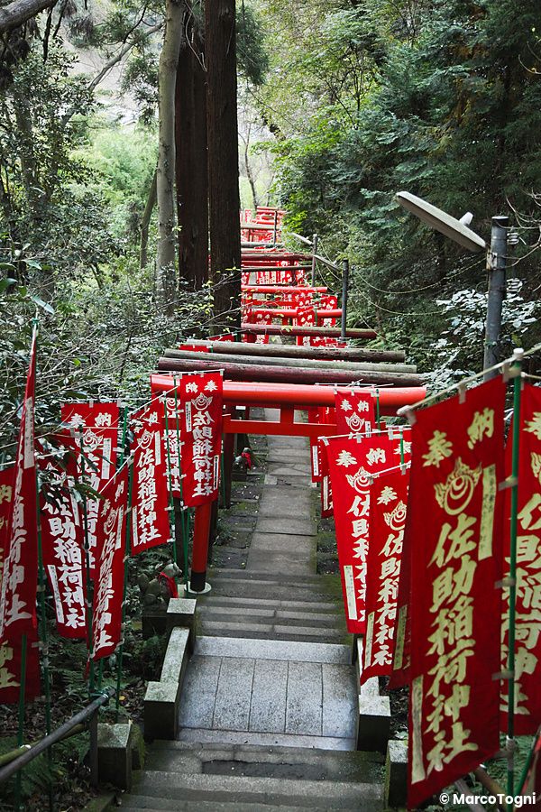 Scalinata con torii rossi e bandiere al santuario Sasuke Inari, Kamakura.