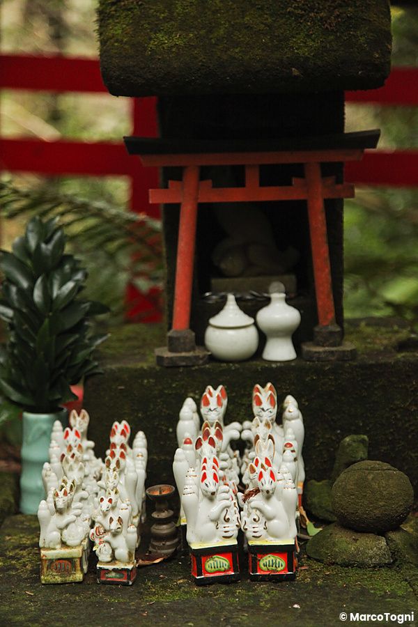 Statuette di volpi bianche davanti a un altare al santuario Sasuke Inari a Kamakura.