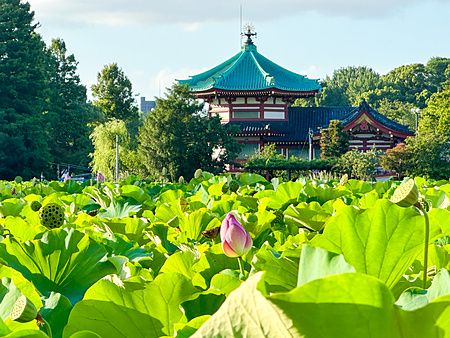 Vista dello stagno Shinobazu e del tempio Bentendo immersi nel verde in una giornata soleggiata a Ueno.