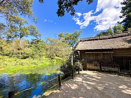 Un mulino ad acqua in legno accanto a un ruscello limpido immerso nel verde presso la Daio Wasabi Farm a Matsumoto.