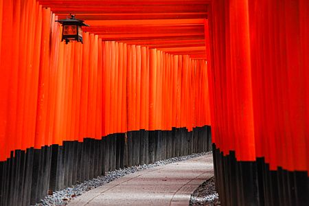 Corridoio di torii rossi a Fushimi Inari, Kyoto.