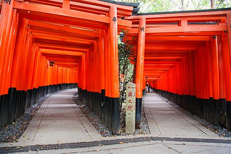 torii rossi a Fushimi Inari, Kyoto.