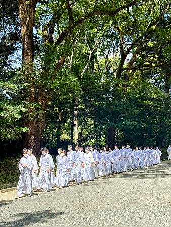 gruppo di persone in abiti tradizionali cammina al santuario Meiji Jingu