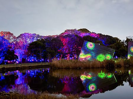 Installazione di luci colorate e proiezioni a spirale su alberi e strutture nel teamLab Botanical Garden Osaka di notte.