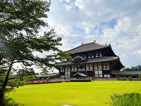 veduta del tempio Todai-ji a Nara con prato verde e albero.