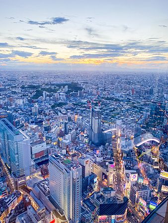 Ampia veduta panoramica della città di Tokyo al tramonto vista da Shibuya Sky.