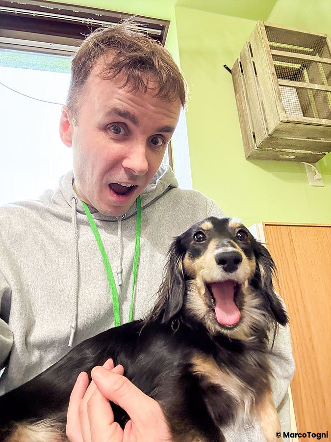 Marco Togni in felpa grigia tiene in braccio un bassotto all'interno dell'animal cafe Animeal a Osaka.