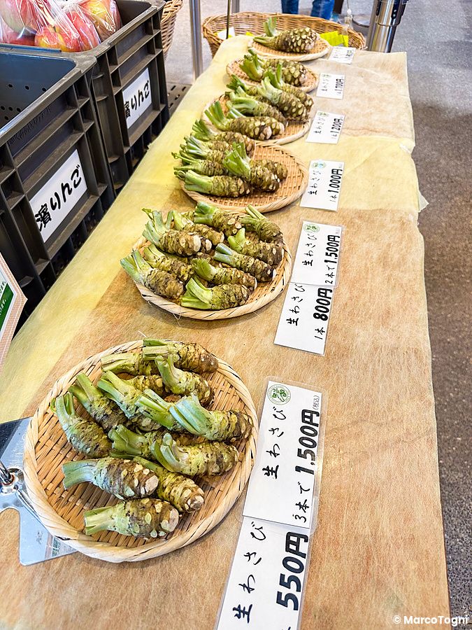 Rizomi di wasabi fresco in vendita su cestini di vimini con cartellini dei prezzi a Daio Wasabi Farm, Nagano.