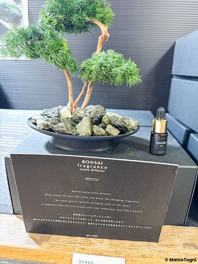 Un diffusore di aromi a forma di bonsai su un espositore nero con un flacone di olio essenziale all'interno di Hands.