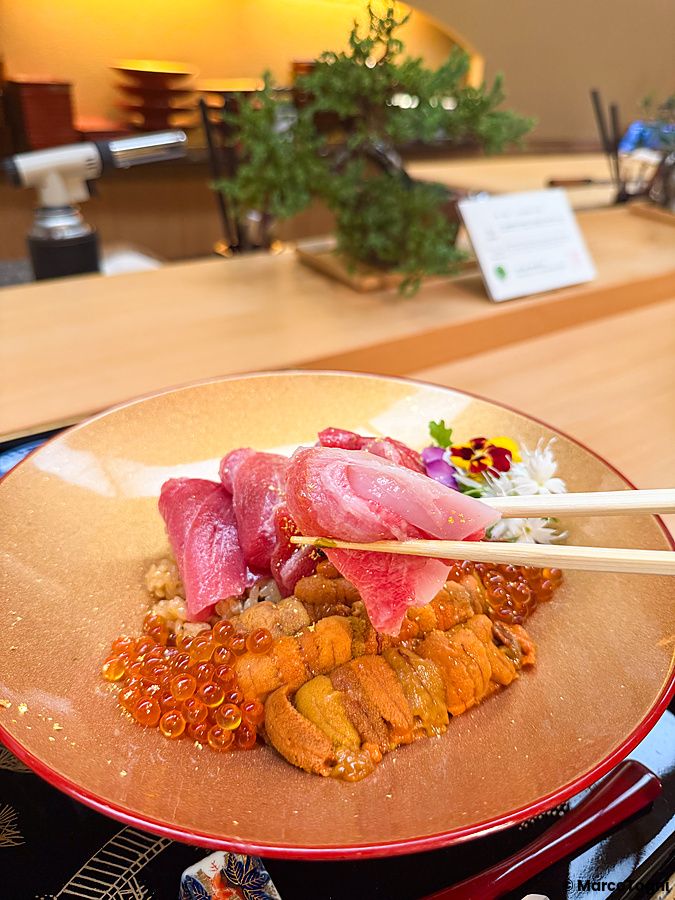 Un donburi premium con riccio di mare, otoro, chutoro e ikura servito in una ciotola dorata al ristorante Waunn di Asakusa.