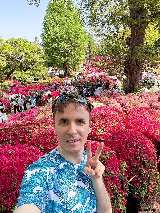 giardino delle azalee in fioritura con Marco Togni al tempio Nezu