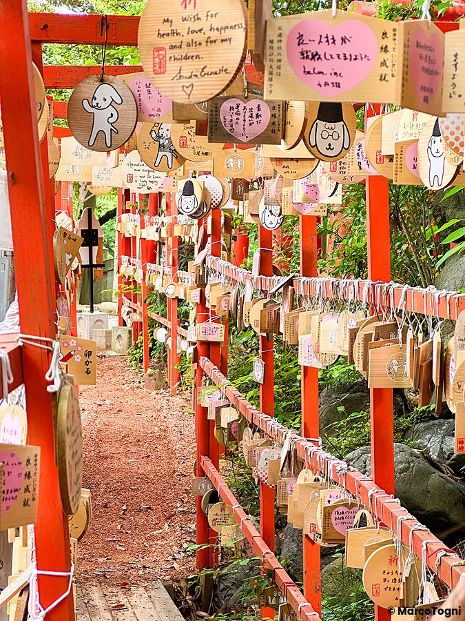 Un sentiero tra torii rossi al Santuario Hirosakainari a Kanazawa, coperto da numerose tavolette votive in legno.