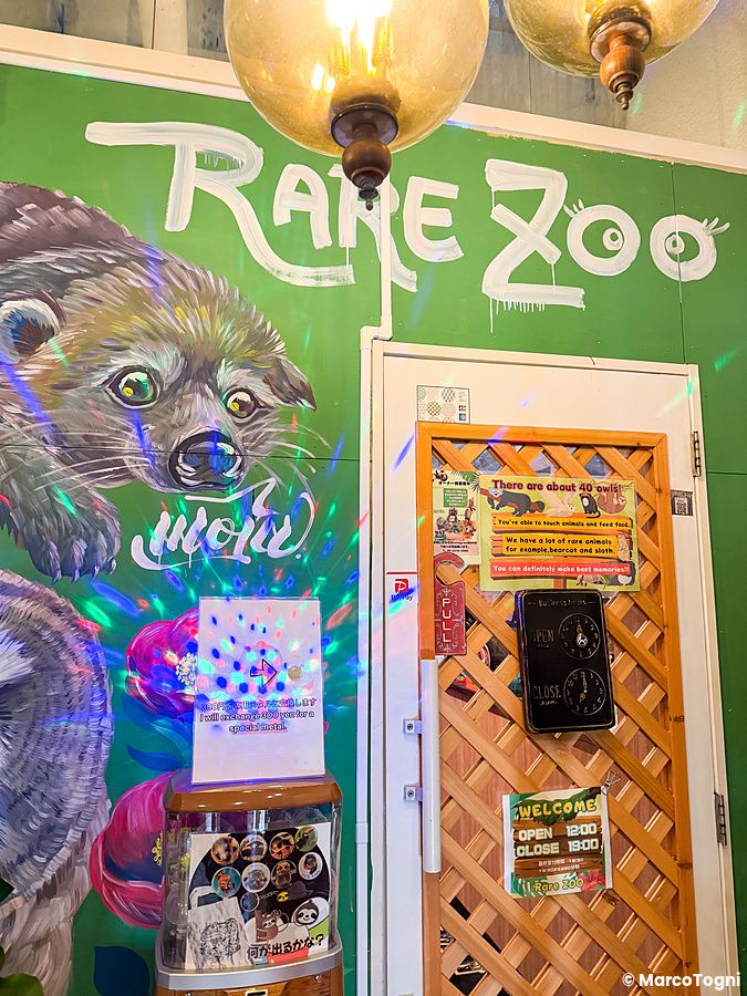 L'ingresso a Rare Zoo presenta una parete verde con un dipinto e una porta bianca decorata con cartelli informativi.