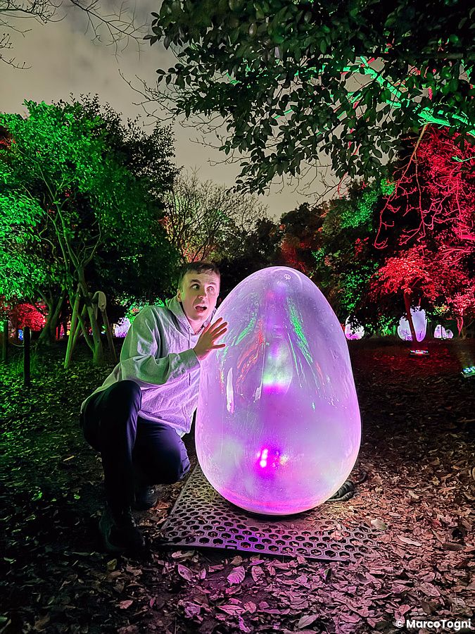 Marco Togni è inginocchiato accanto a una grande scultura luminosa a forma di uovo al teamLab Botanical Garden Osaka.