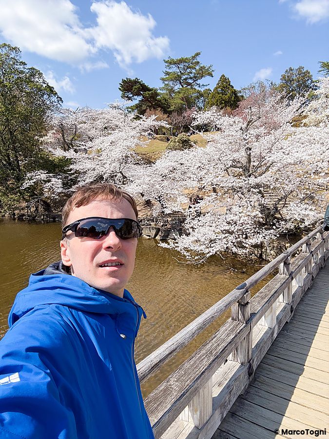 Marco Togni con occhiali da sole e giacca blu si fotografa su un ponte di legno al parco di Nara, in primavera.