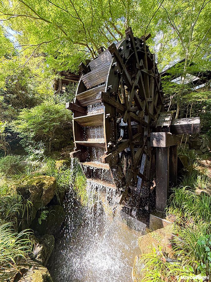 Un grande mulino ad acqua in legno all'ingresso del ristorante Kurochaya circondato da alberi e vegetazione.