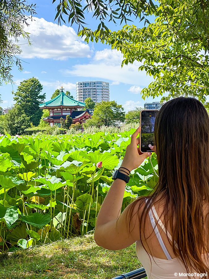 Una donna inquadra il tempio Bentendo dello Stagno Shinobazu con uno smartphone in una giornata estiva.