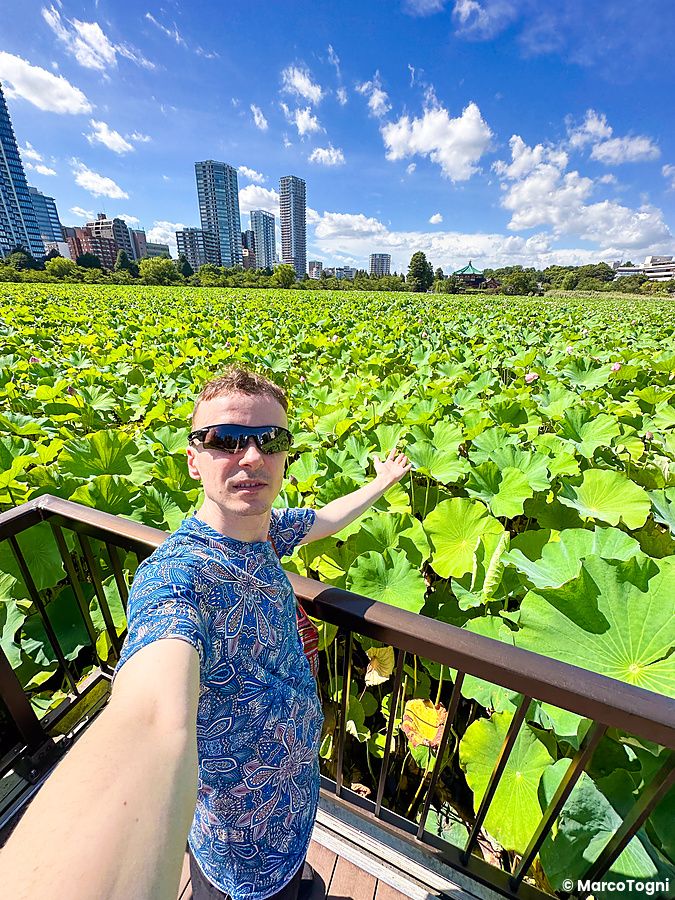 Marco Togni in maglietta blu si scatta un selfie su una passerella circondata da foglie di loto allo Stagno Shinobazu.