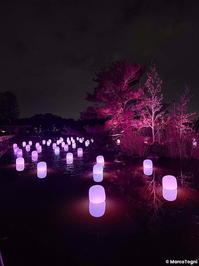 Installazione artistica con sfere illuminate galleggianti e alberi colorati nel teamLab Botanical Garden Osaka.