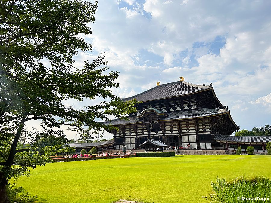 veduta del tempio Todai-ji a Nara con prato verde e albero.