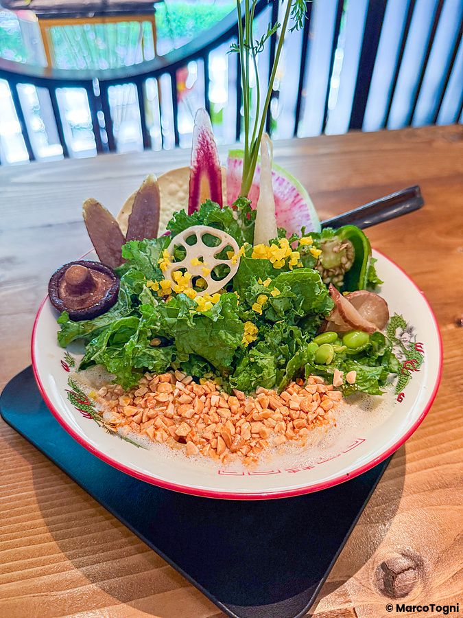 Una ciotola di ramen vegano riccamente guarnita con verdure fresche e arachidi presso il Tokyo Vegan Ramen Center.