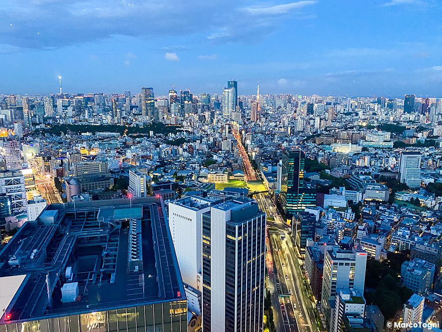 Vista serale di Tokyo dai grattacieli, osservata da Shibuya Sky con le luci della città.