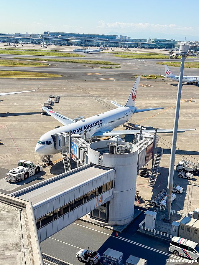 Veduta panoramica di un aereo Japan Airlines al gate 14 presso l'aeroporto di Haneda in Giappone.