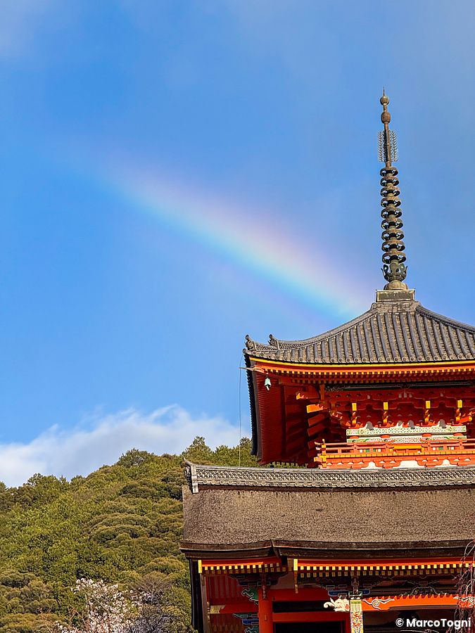 Parte superiore del tempio Kiyomizudera con un arcobaleno nel cielo sopra la struttura in legno e la collina verde.