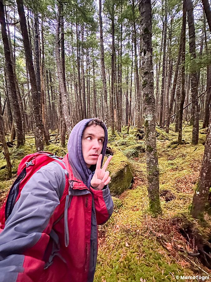 Marco Togni in foresta di muschio vicino al Lago Shirakoma a Nagano.