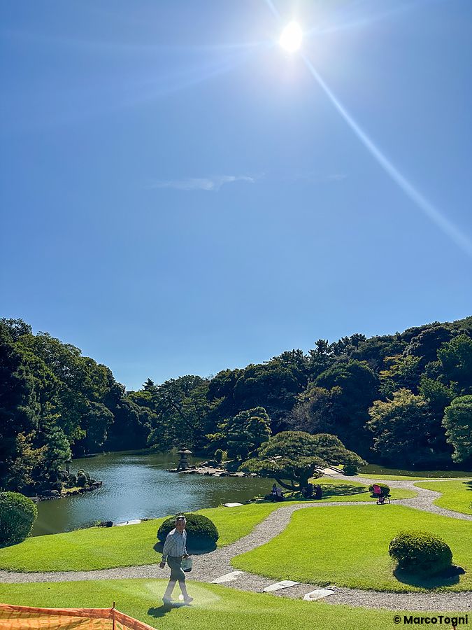Un paesaggio sereno a Shinjuyk Gyoen in Giappone con laghetto e prati curati.