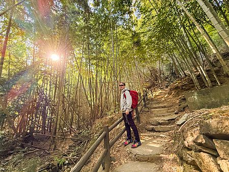 persona su un sentiero di bambù con zaino, luce solare filtrante