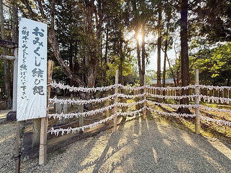 Veduta di un'area dedicata agli omikuji annodati su fili di bambù presso il Santuario Izanagi a Awaji.