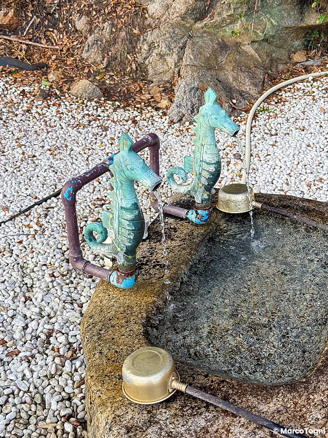 Due rubinetti a forma di cavalluccio marino erogano acqua in una vasca di pietra al Santuario Aiga Iwato Shinryu.
