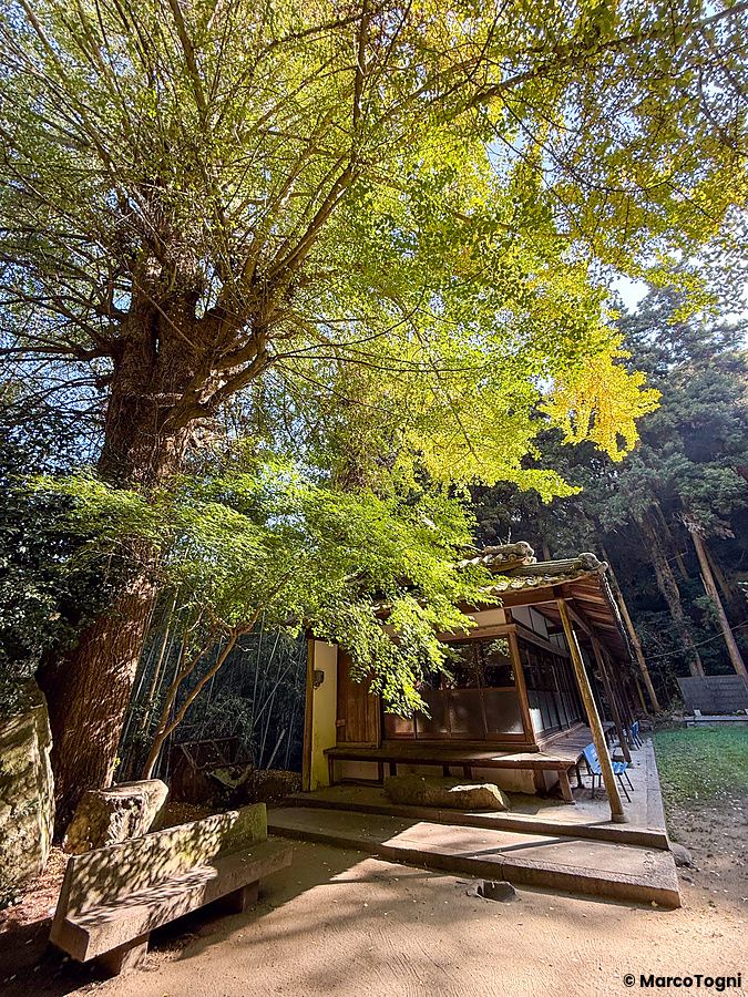 Veduta del Santuario Iwagami sull'isola di Awaji con l'edificio principale e il masso sacro circondati da alberi.