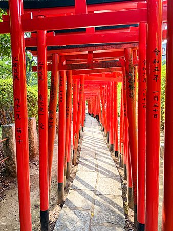 torii rossi del santuario Nezu formano un tunnel simmetrico.