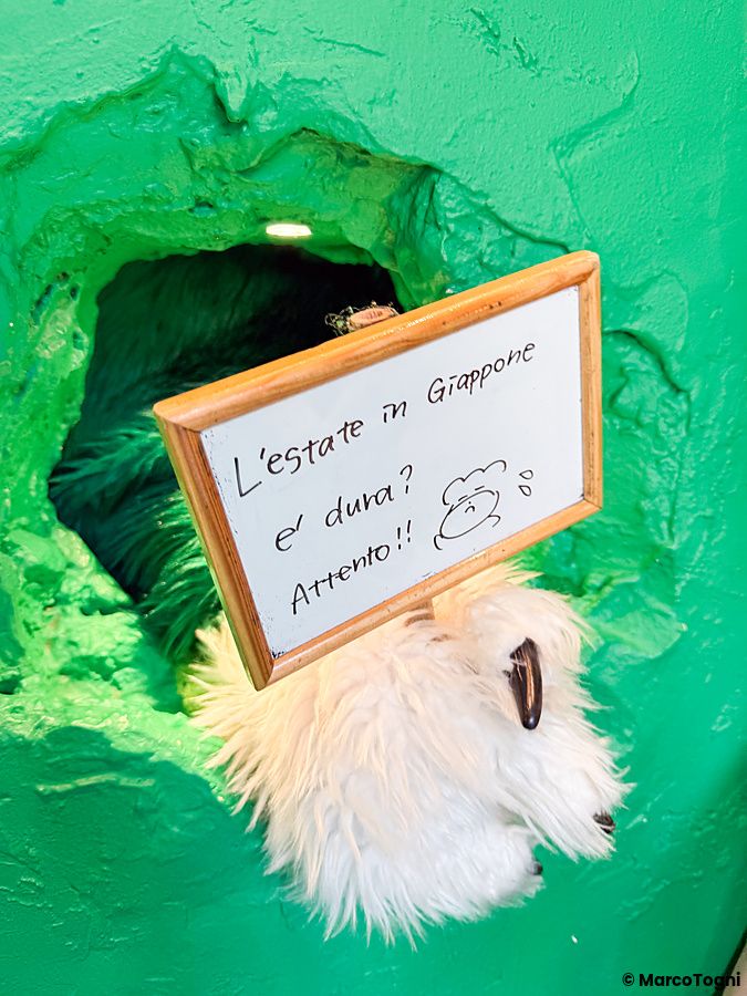 Una mano pelosa bianca, simile a quella di un orso, esce da un foro in una parete verde al Anakuma Cafe.